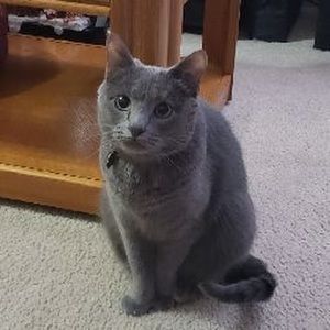 Meet your Posher, April